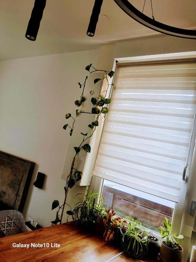 Stephanois & Parking Apartment Saint-Etienne (Loire)