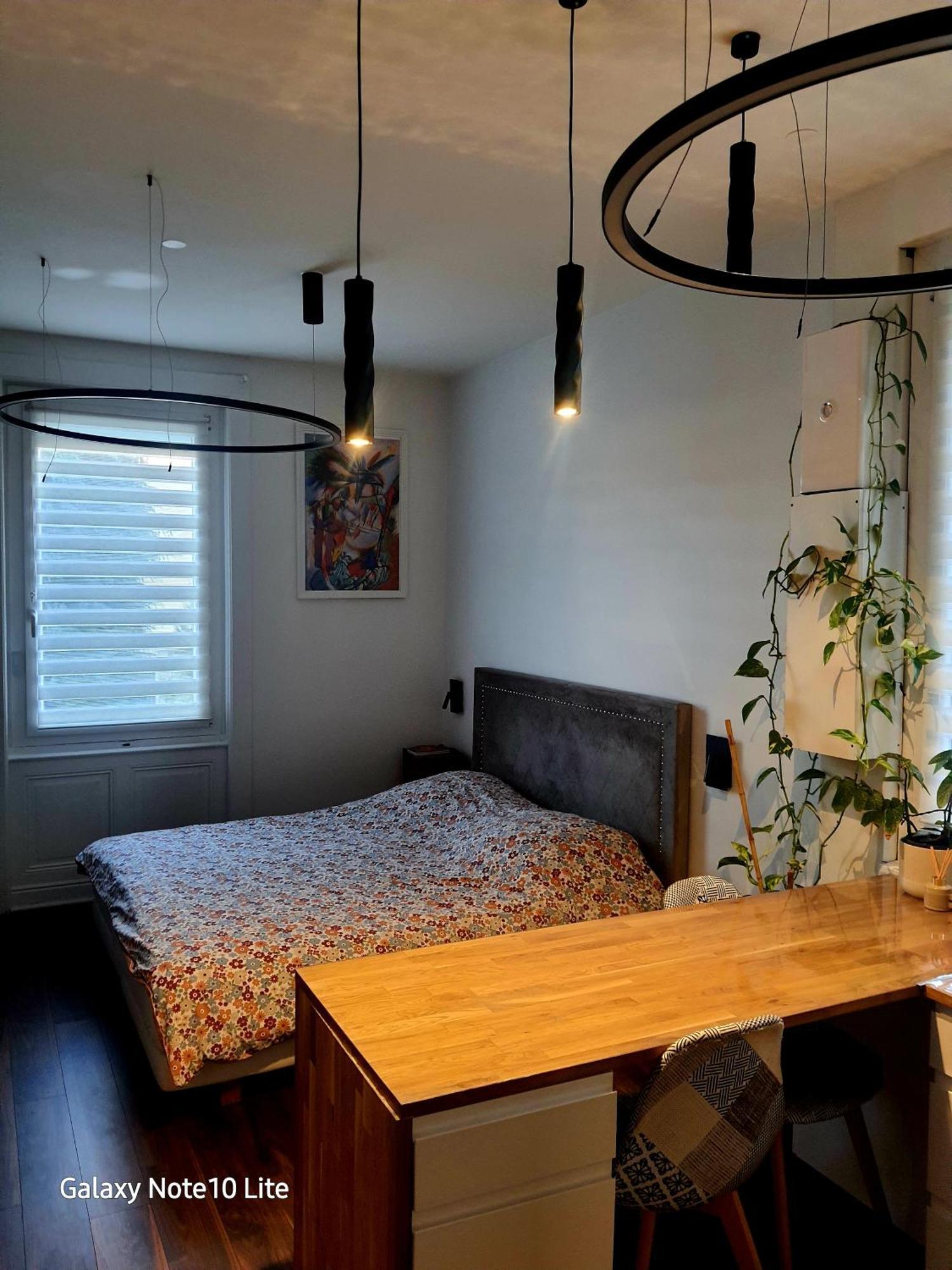 Apartment Stephanois & Parking
